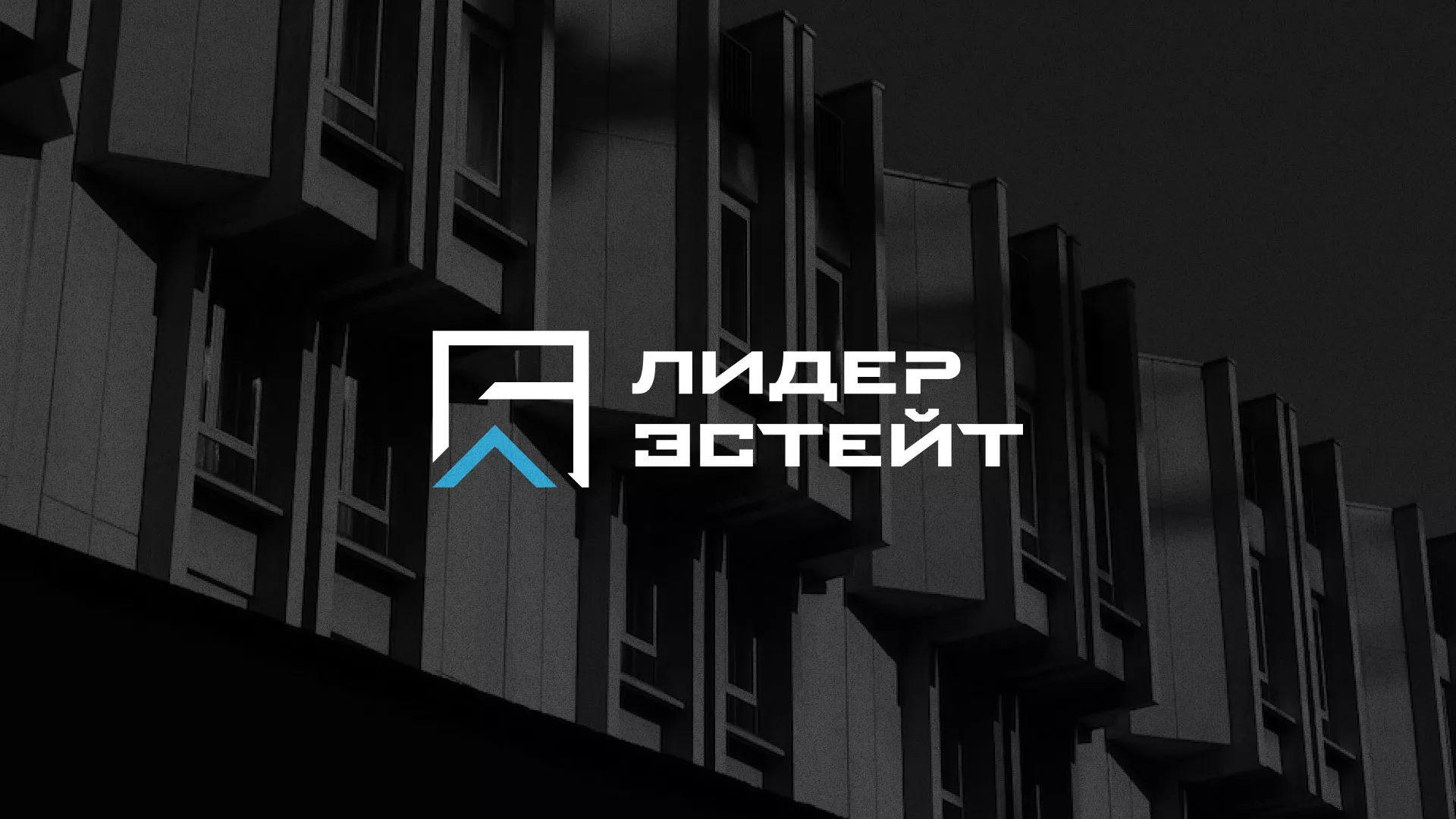 Разработка логотипа агентства недвижимости «Лидер Эстейт» в Черемхово